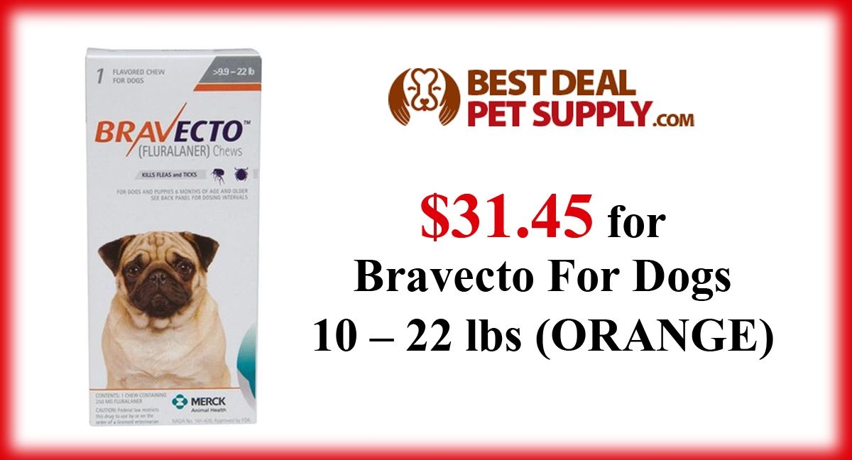 Bravecto Printable Coupons Printable Word Searches