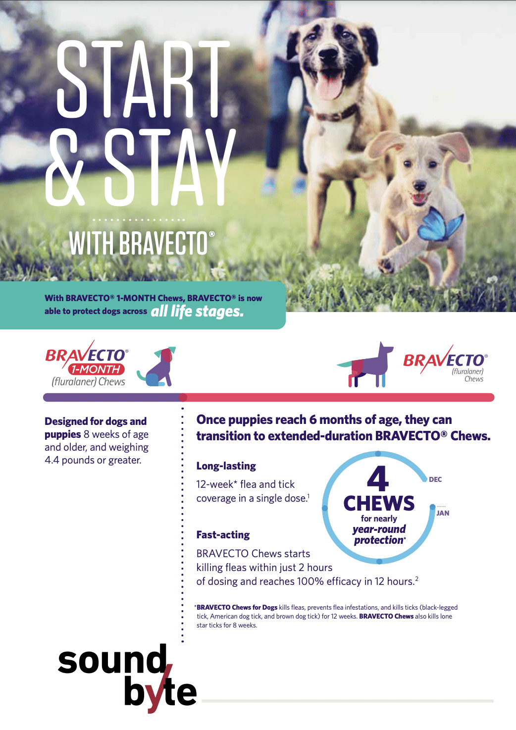 Bravecto Printable Coupons Printable Word Searches