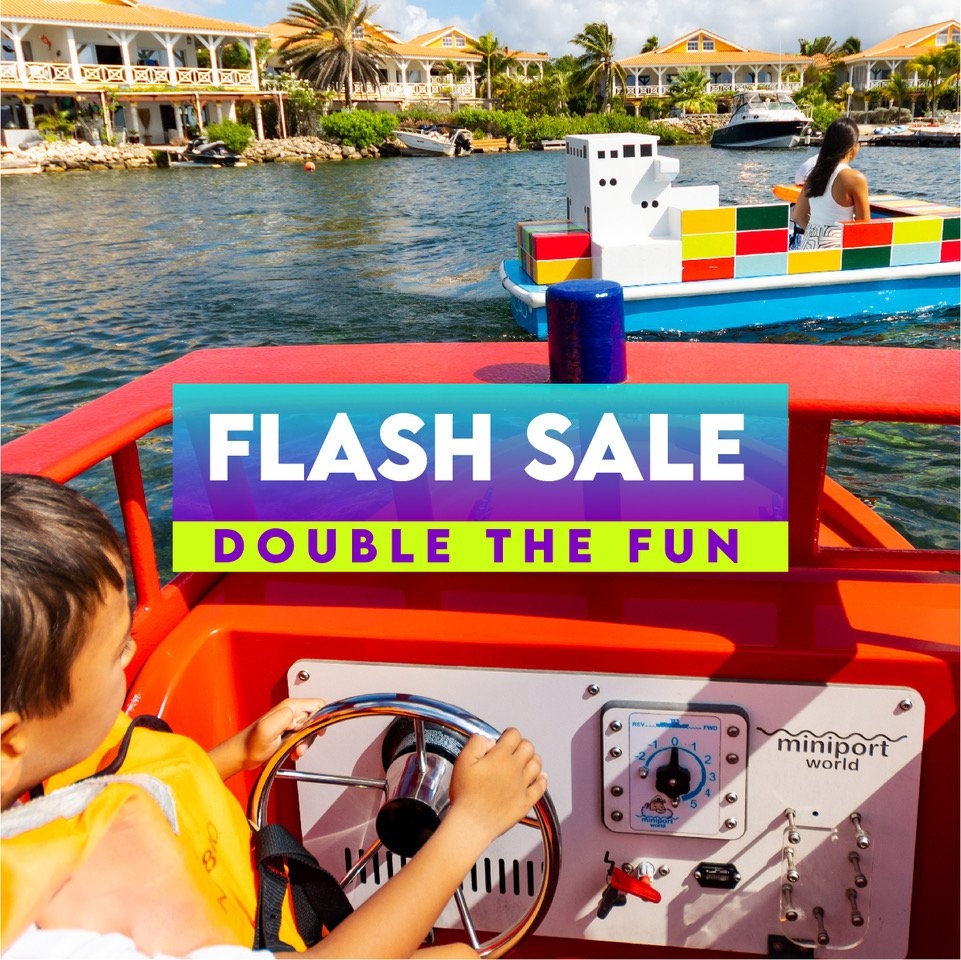 Flash Sale Coupon Mini Waves