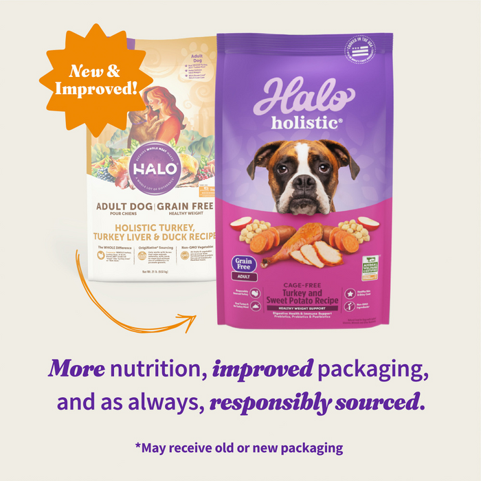 Free Halo Dog Food Printable Coupons Download Free Halo Dog Food Free Halo Dog Food Printable Coupons Download Free Halo Dog Food